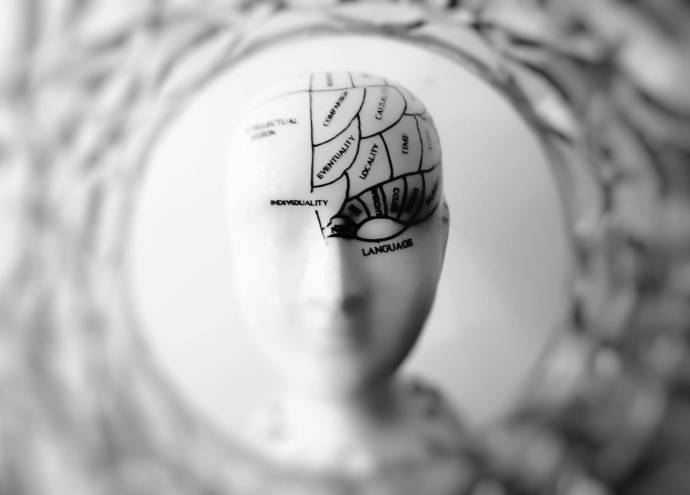 Neuroscienza
