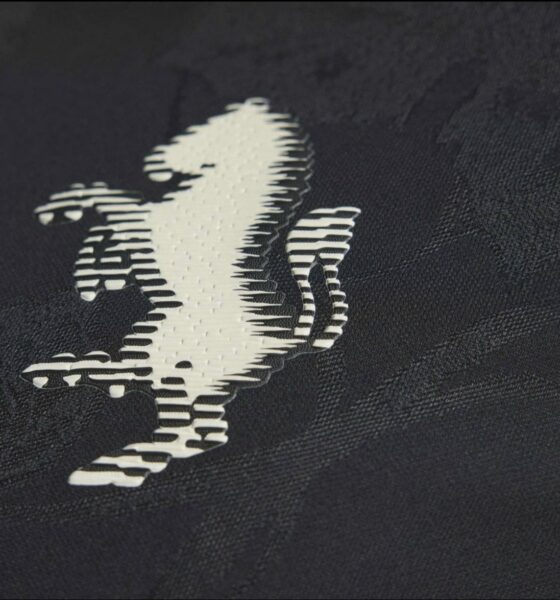 juve terza maglia