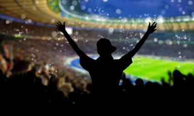 Tifosi allo stadio (© Depositphotos)